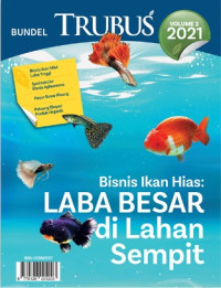 Bisnis Ikan Hias: Laba Besar di Lahan Sempit